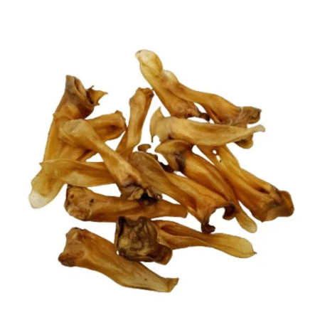 Lamb Ears (Pack of 10)