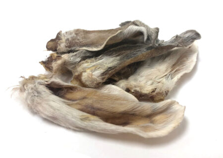 Rabbit Ears (Pack of 5)