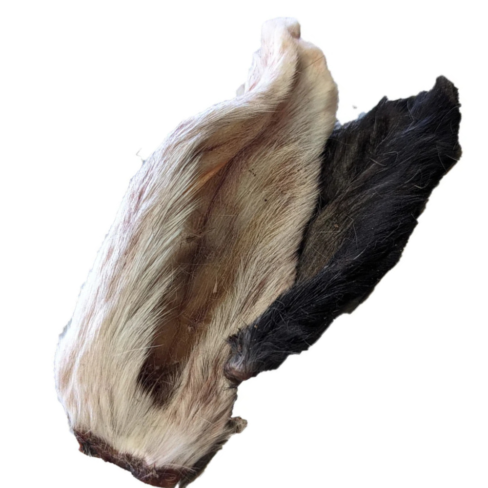 Rabbit Ears (Pack of 5) - Image 2