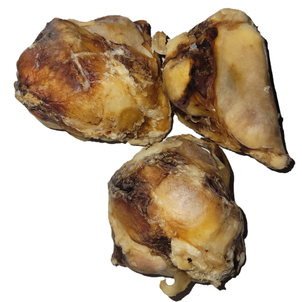 Knee Caps (Pack of 1)